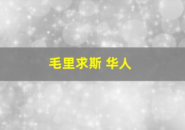 毛里求斯 华人